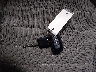 5N1AN08W45C****** Salvage 2005 Nissan Xterra in Alaska State