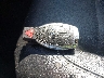 WDDKJ5GB2AF****** Salvage 2010 Mercedes-Benz E-Class in Georgia State