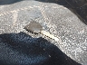 1FMFU16558L****** Salvage 2008 Ford Expedition in Texas State