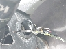 KMHCT4AE8GU****** Salvamento 2016 Hyundai Accent en Estado de Illinois