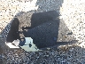 1G6DF5RKXM0****** Wrecked 2021 Cadillac CT4 in Pennsylvania State