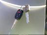 JHLRE48579C****** Salvamento 2009 Honda CR-V en Estado de New Hampshire
