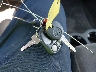 1GCEK19T01Z****** Salvage 2001 Chevrolet Silverado 1500 in California State