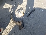 WBA3A9C58EF****** Wrecked 2014 BMW 3 Series in California State