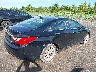 5NPEC4ACXBH****** Salvage and Wrecked 2011 Hyundai Sonata in New York State