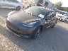 5YJ3E1EA6MF****** Used and Repairable 2021 Tesla Model 3 in Lake City