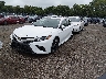 4T1B11HK1KU****** Used and Repairable 2019 Toyota Camry in Davenport