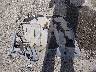JA32U2FU9GU****** Wrecked 2016 Mitsubishi Lancer in New Mexico State