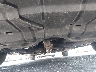 4T4BE46K59R****** Usados 2009 Toyota Camry en Estado de California