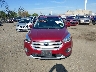1FMCU9HDXKU****** Wrecked 2019 Ford Escape in New Jersey State