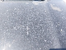 5FNYF4H63CB****** Salvage and Wrecked 2012 Honda Pilot in Springfield