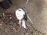 JTMBK4DV1A5****** Salvage 2010 Toyota RAV4 in Maryland State
