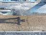 1C4PJMAB4FW****** Wrecked 2015 Jeep Cherokee in California State