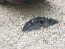 JN1BJ1CR5HW****** Destrozados 2017 Nissan Rogue Sport en Estado de Indiana