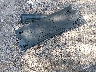 3FMCR9G66PR****** Destrozados 2023 Ford Bronco Sport en Estado de Wisconsin