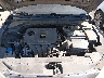 5NPD74LF2KH****** Repairable 2019 Hyundai Elantra in Phoenix