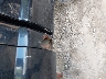 1FTWW31P56E****** Salvamento 2006 Ford F-350 en Estado de Massachusetts