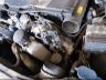 WDBRF52H37F****** Salvage and Repairable 2007 Mercedes-Benz C 230 in Tennessee State