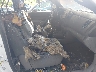 5TFNX4CN9EX****** Usados y Reparables 2014 Toyota Tacoma en Estado de Rhode Island