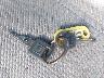 2G1FP22P4R2****** Salvamento 1994 Chevrolet Camaro en Estado de Florida
