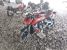 ZDMFAU8TXSB****** Usados y Reparables 2025 Ducati Streetfighter en Rec Rides Online Exclusive