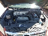 WVGAV75N39W****** Repairable 2009 Volkswagen Tiguan in Los Angeles South