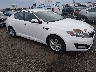 5XXGM4A76DG****** Salvage and Wrecked 2013 Kia Optima in Avenel New Jersey
