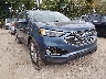 2FMPK4K99KB****** Salvage and Wrecked 2019 Ford Edge in Indianapolis