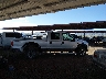 1FTNW21P84E****** Used 2004 Ford F-250 in Arizona State