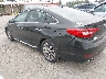 5NPE34AF9FH****** Salvage and Repairable 2015 Hyundai Sonata in Seattle