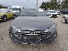 5NPD74LF9KH****** Salvage 2019 Hyundai Elantra in Washington State