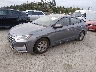 5NPD74LF9KH****** Used and Repairable 2019 Hyundai Elantra in Seattle