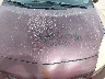 JTDKN3DU1D5****** Repairable 2013 Toyota Prius in Houston South