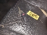 1D7HA18D45S****** Salvamento 2005 Dodge Ram 1500 en Estado de Nueva York