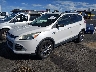 1FMCU0G91EU****** Usados y Reparables 2014 Ford Escape en Las Vegas