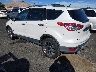 1FMCU0G91EU****** Salvamento y Reparables 2014 Ford Escape en Las Vegas