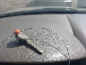 1HGCM56804A****** Salvage 2004 Honda Accord in Ohio State