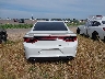 2C3CDXL95KH****** Wrecked 2019 Dodge Charger