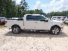 1FTFW1CT9BF****** Repairable 2011 Ford F-150 in South Carolina State