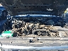 1FTDF15Y8SN****** Reparables 1995 Ford F-150 en Santa Clarita