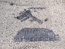 3N1AB8DV7SY****** Destrozados 2025 Nissan Sentra en Estado de Washington