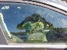 1G1PF5SC3C7****** Usados y Reparables 2012 Chevrolet Cruze en Estado de Maryland