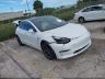 5YJ3E1EA8LF****** Salvage and Wrecked 2020 Tesla Model 3 in Orlando