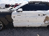 1FATP8UH6K5****** Usados y Reparables 2019 Ford Mustang en Dallas