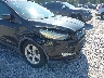 1FMCU0GX3FU****** Salvamento y Reparables 2015 Ford Escape en Estado de Florida