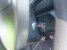 3N1CN7AP5GL****** Salvage 2016 Nissan Versa in New York State
