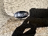 JN8AZ2NFXF9****** Salvage 2015 Infiniti QX80 in Texas State