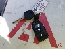 KNAFU4A25C5****** Salvage 2012 Kia Forte in Texas State