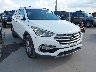 5NMZU3LBXHH****** Salvage and Wrecked 2017 Hyundai Santa Fe in Austin