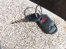 1HGES16501L****** Salvamento 2001 Honda Civic en Estado de Maryland